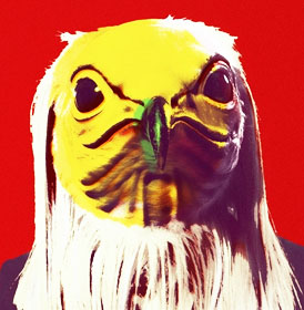 エジプトハゲワシ
