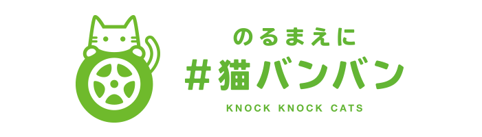 のるまえに #猫バンバン