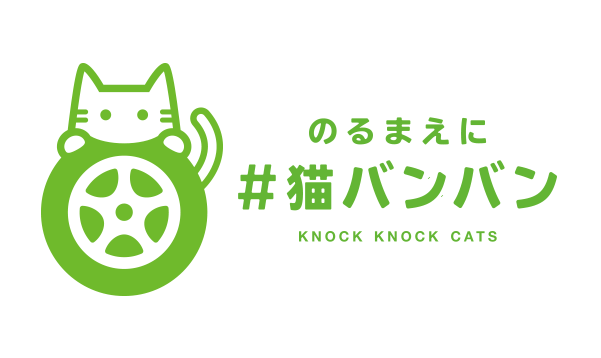 のるまえに #猫バンバン